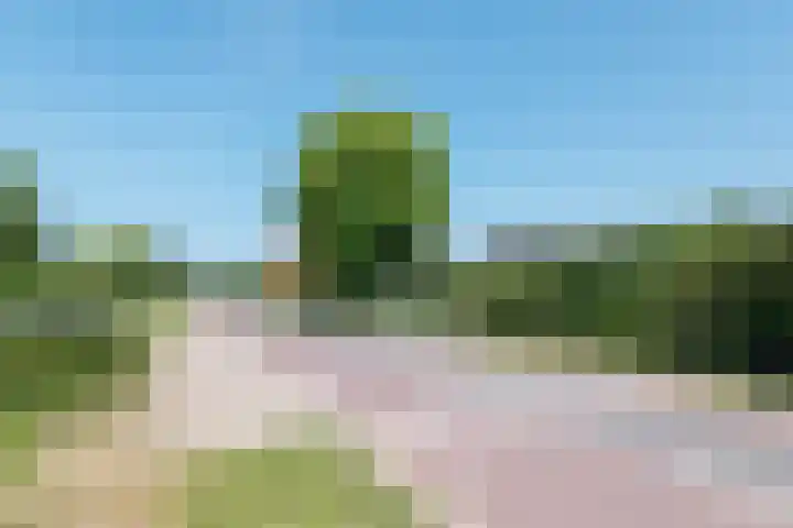 Waalseweg 52 d Tull en 't Waal thumbnail 4