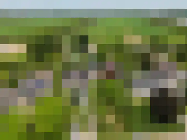 Waalseweg 52 d Tull en 't Waal thumbnail 40
