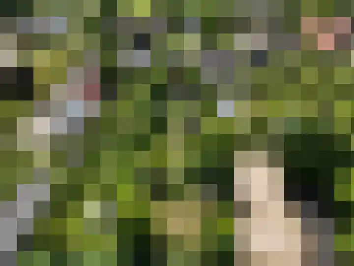 Waalseweg 52 d Tull en 't Waal thumbnail 41