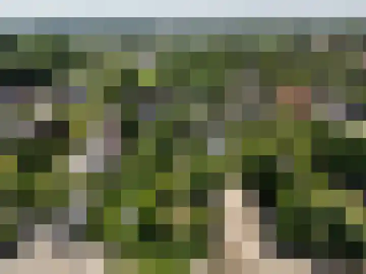 Waalseweg 52 d Tull en 't Waal thumbnail 42