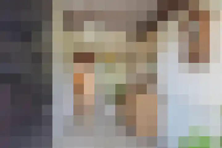 Waalseweg 52 d Tull en 't Waal thumbnail 5