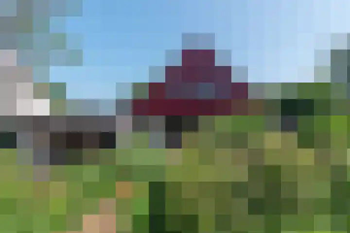 Waalseweg 52 d Tull en 't Waal thumbnail 51