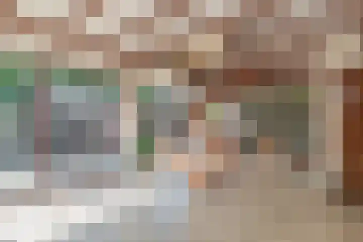 Waalseweg 52 d Tull en 't Waal thumbnail 6