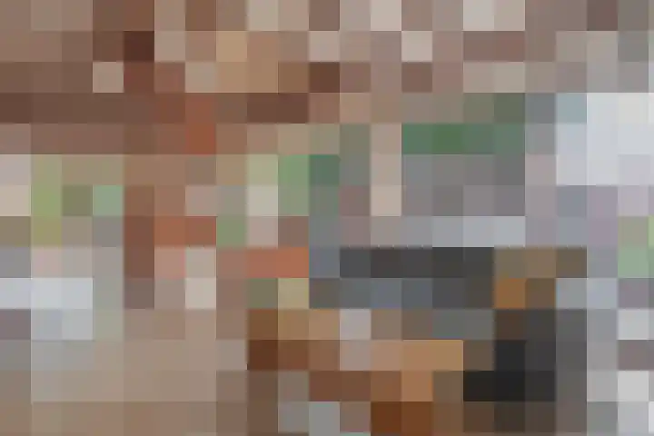 Waalseweg 52 d Tull en 't Waal thumbnail 7