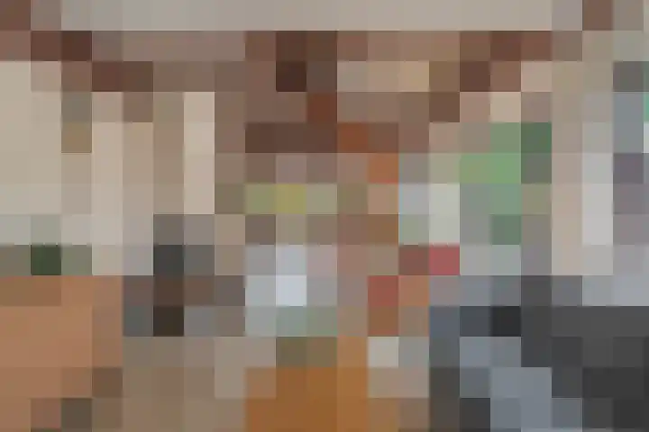 Waalseweg 52 d Tull en 't Waal thumbnail 8