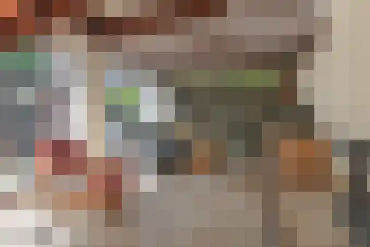 Waalseweg 52 d Tull en 't Waal thumbnail 9
