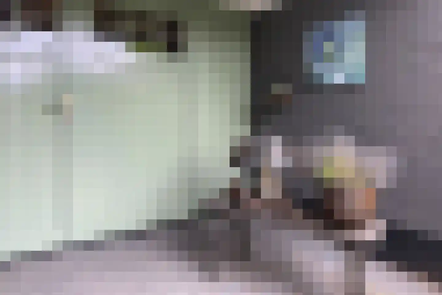 Waalseweg 52 e Tull en 't Waal thumbnail 10