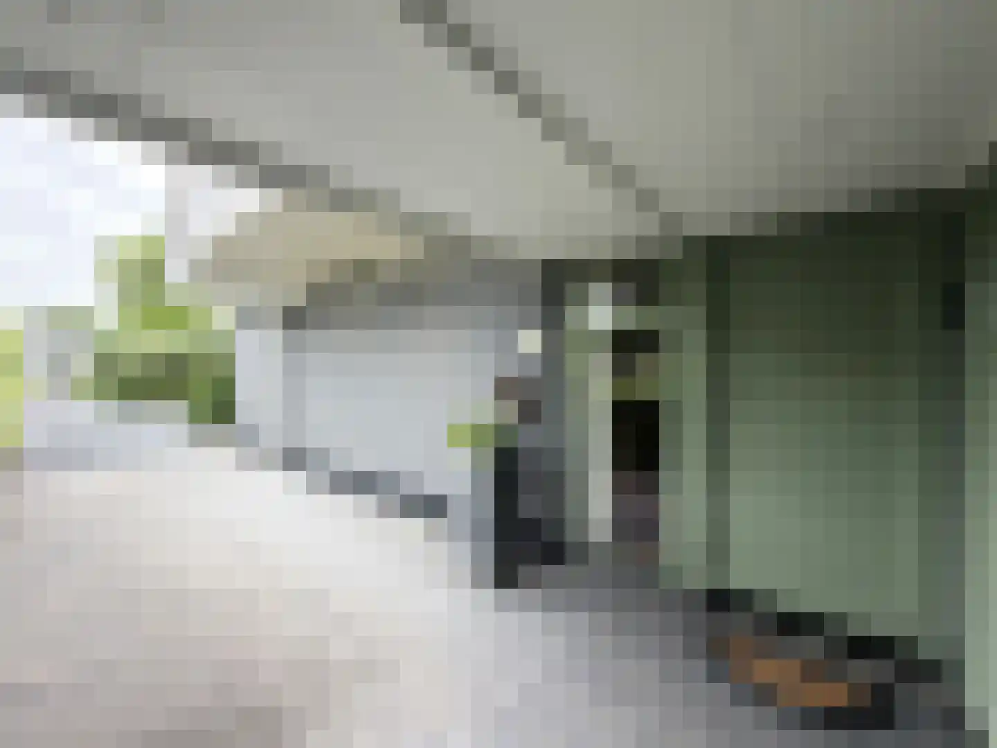 Waalseweg 52 e Tull en 't Waal thumbnail 11