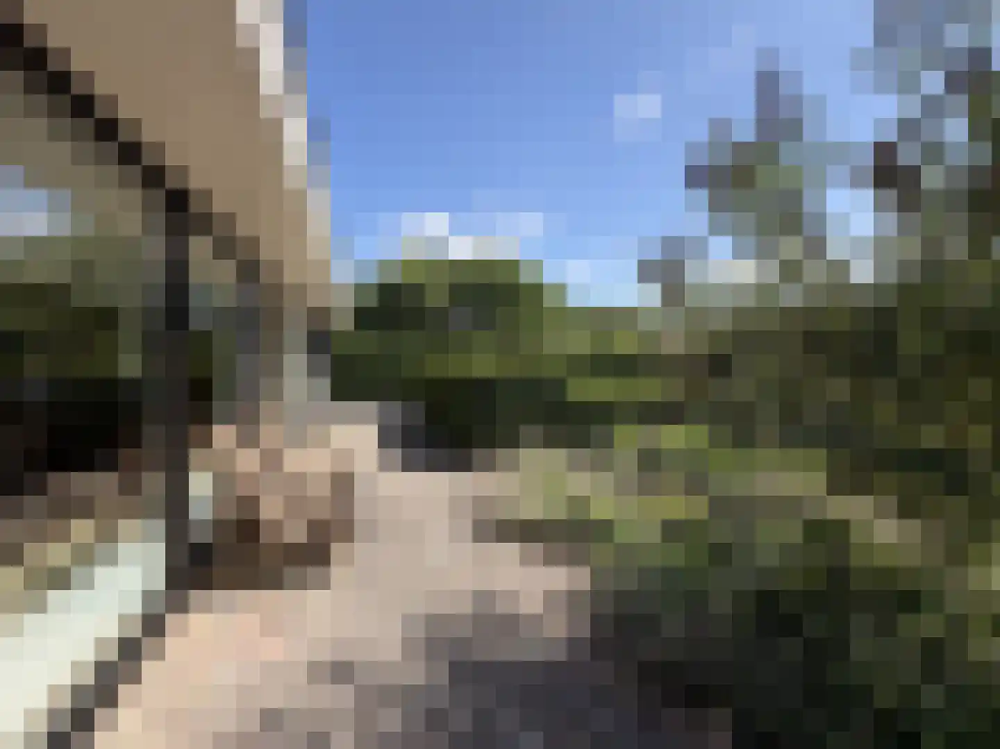 Waalseweg 52 e Tull en 't Waal thumbnail 13