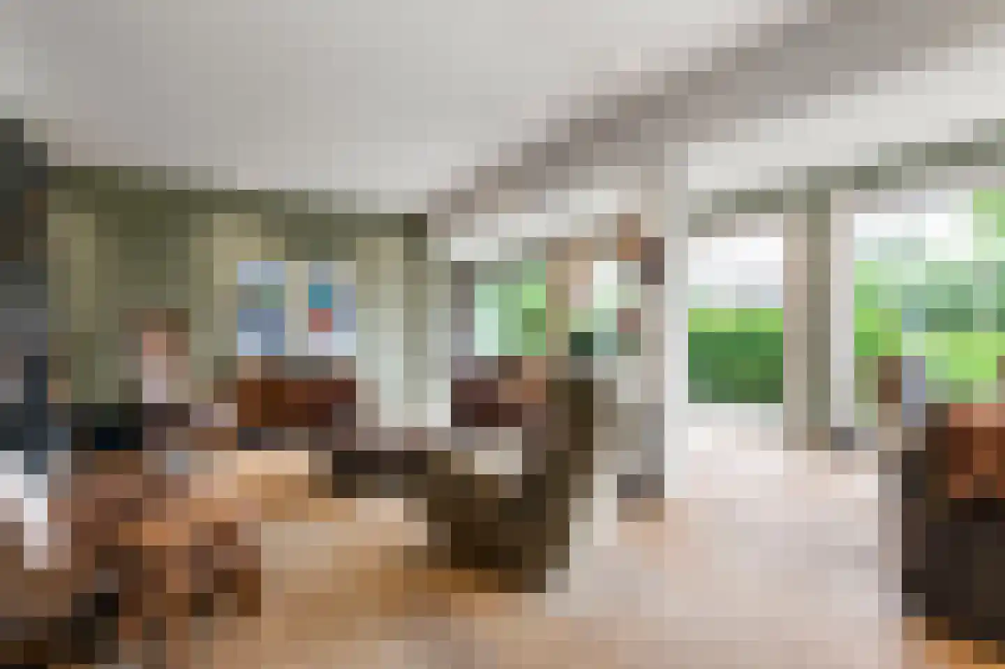 Waalseweg 52 e Tull en 't Waal thumbnail 16