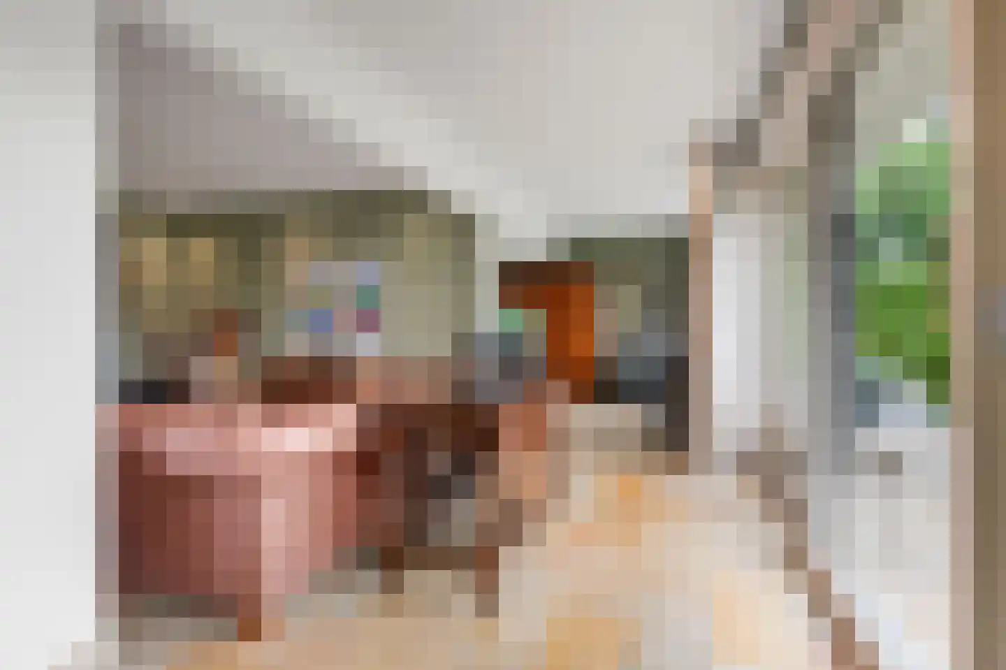 Waalseweg 52 e Tull en 't Waal thumbnail 17