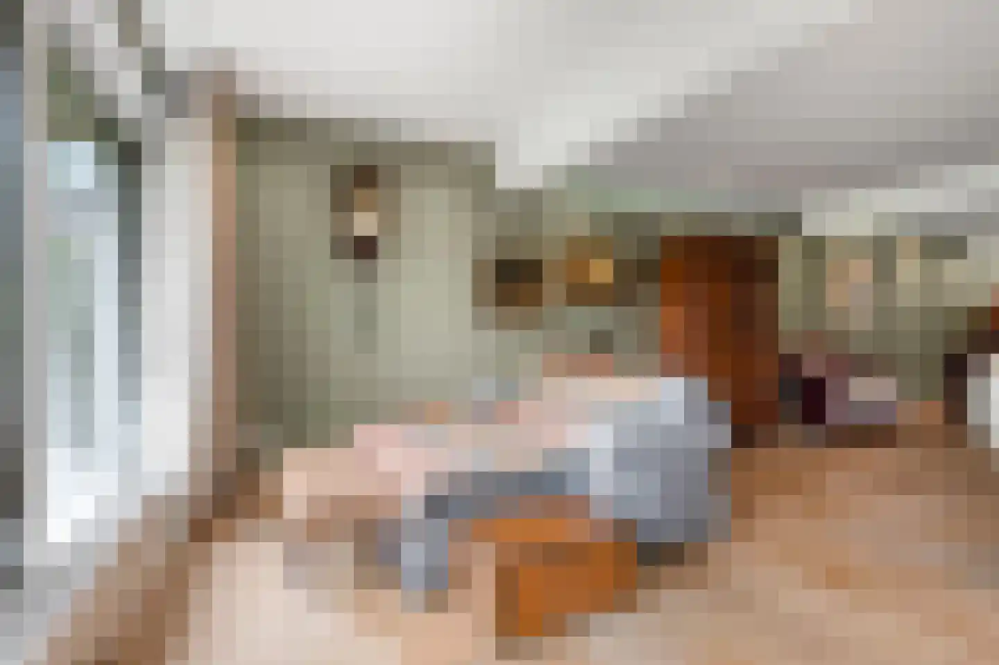 Waalseweg 52 e Tull en 't Waal thumbnail 18