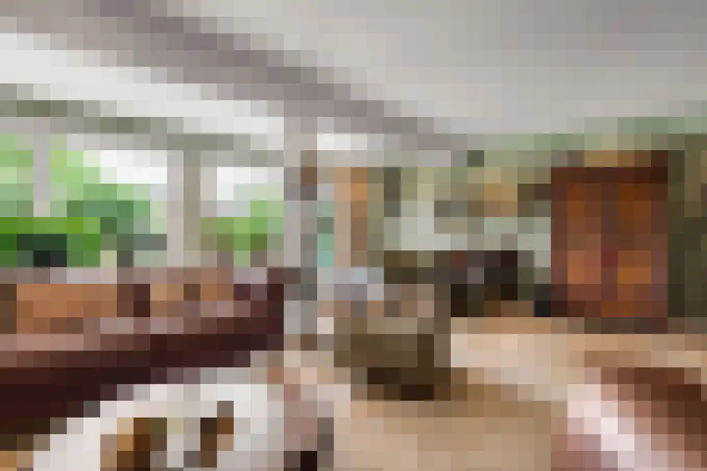 Waalseweg 52 e Tull en 't Waal thumbnail 20