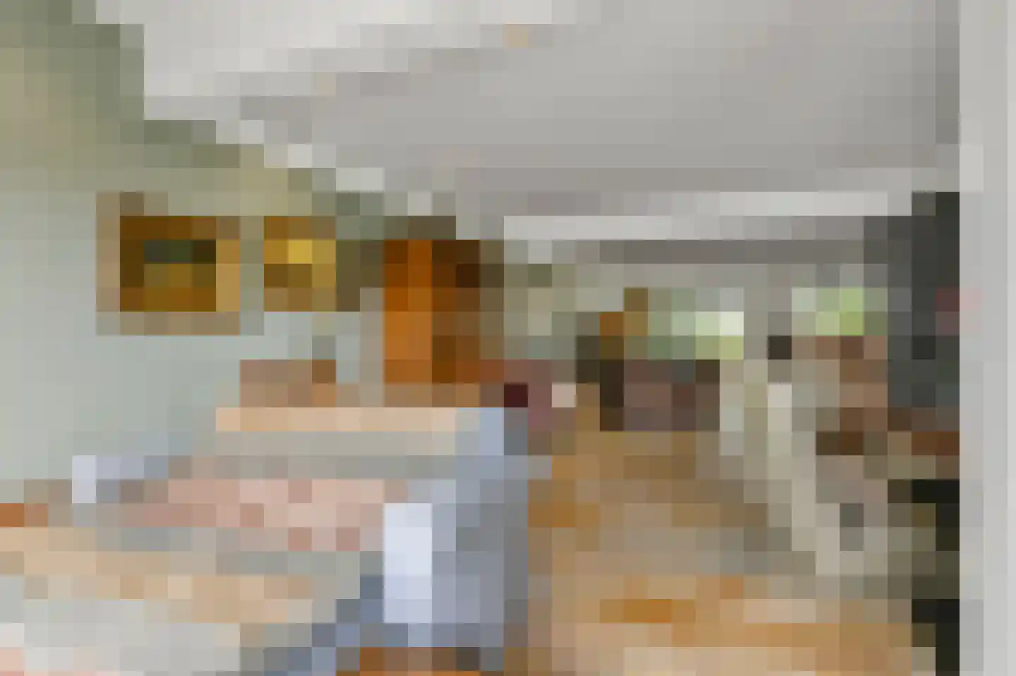 Waalseweg 52 e Tull en 't Waal thumbnail 26