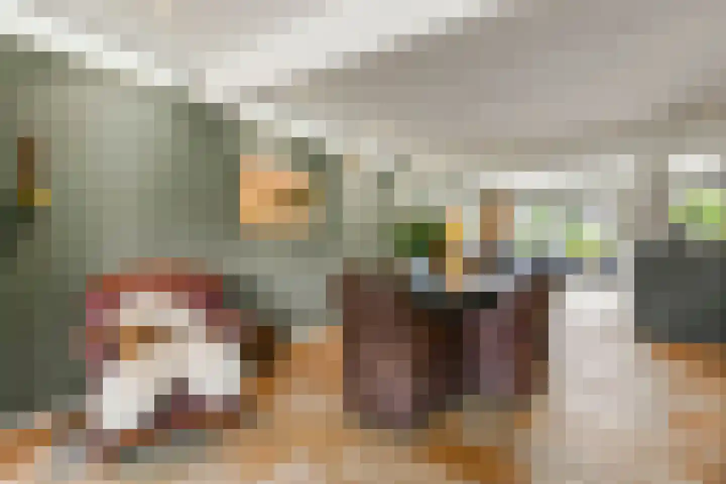 Waalseweg 52 e Tull en 't Waal thumbnail 27