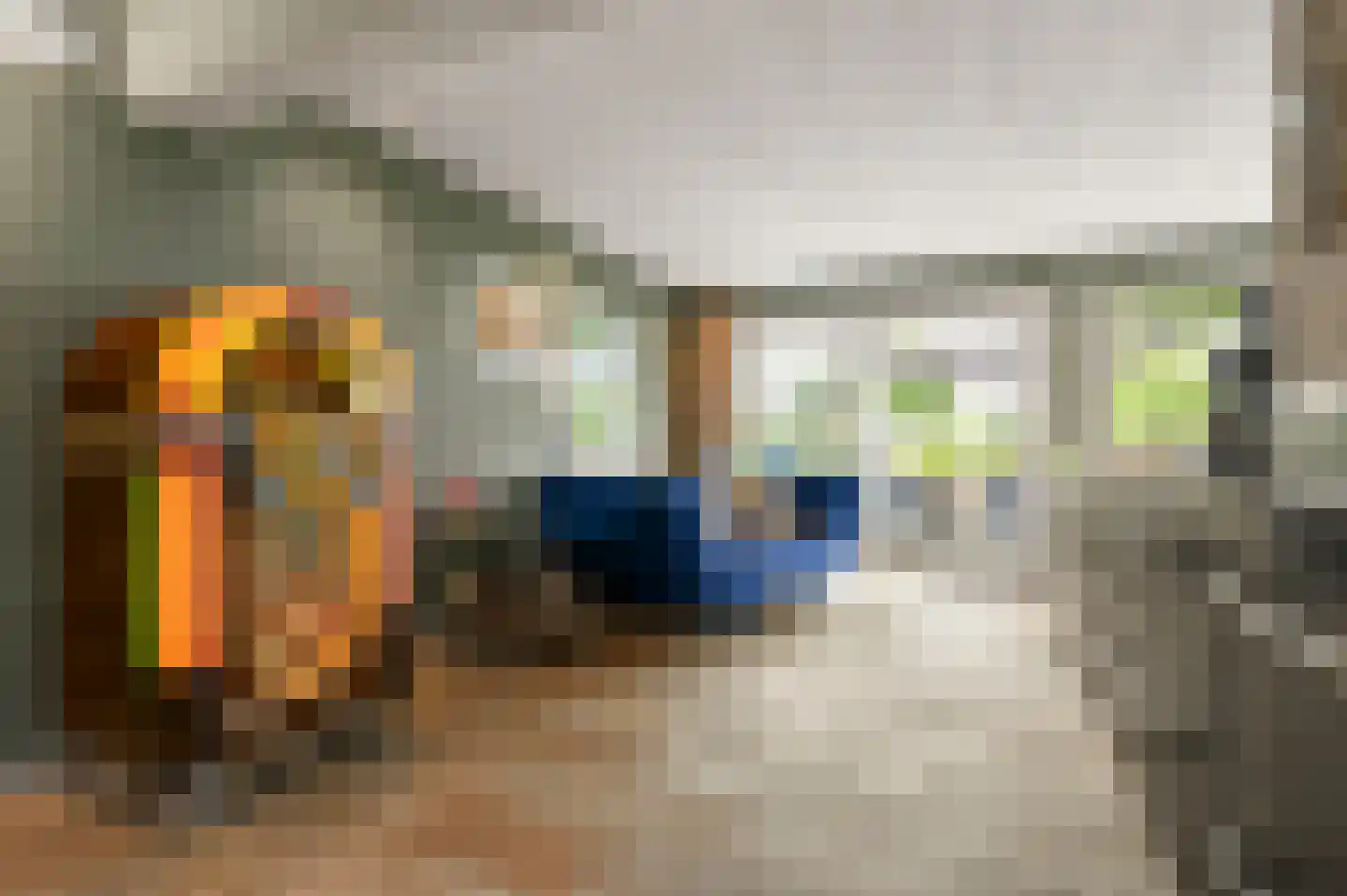 Waalseweg 52 e Tull en 't Waal thumbnail 28