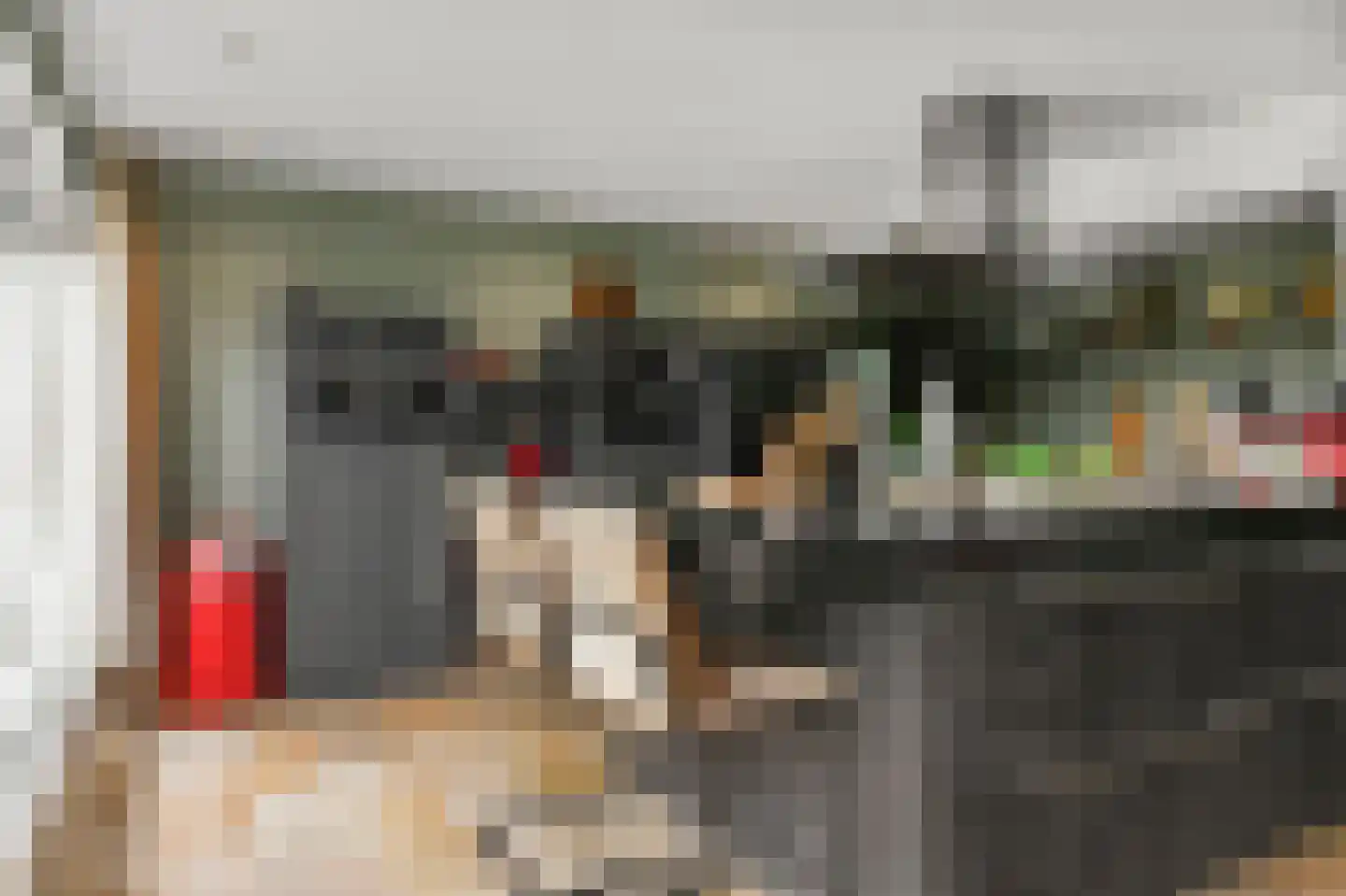 Waalseweg 52 e Tull en 't Waal thumbnail 30