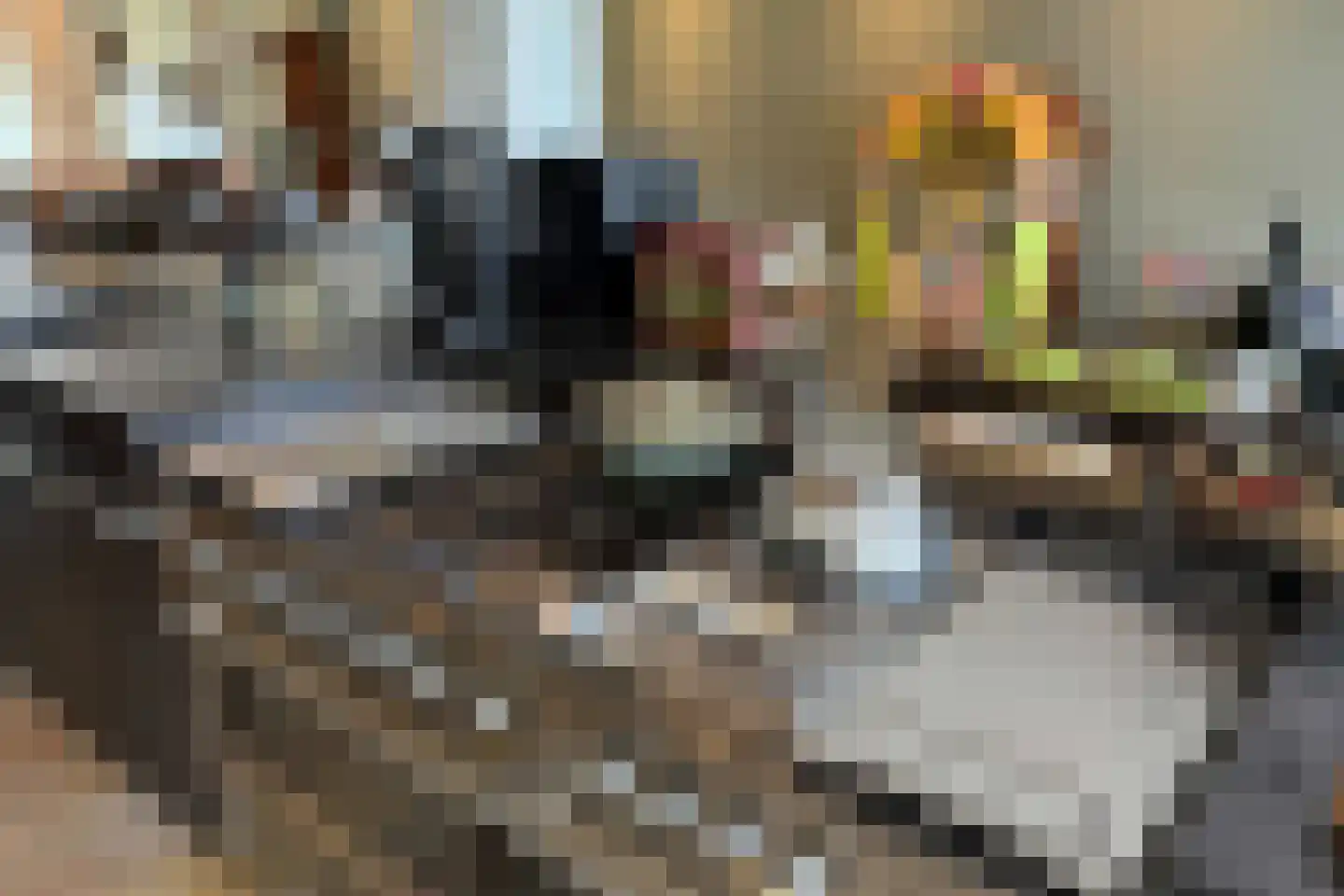 Waalseweg 52 e Tull en 't Waal thumbnail 34
