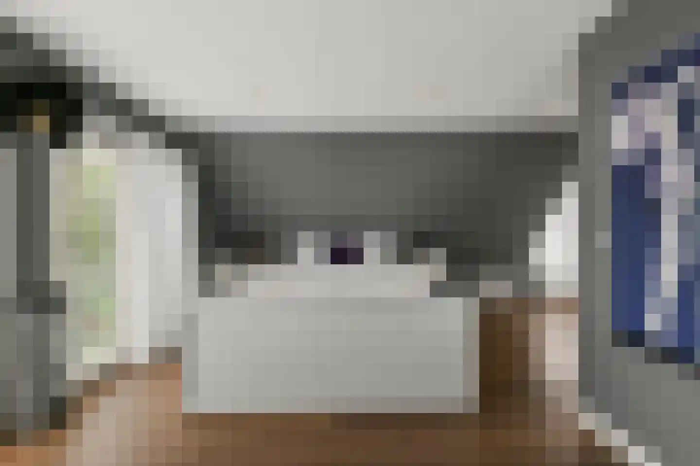 Waalseweg 52 e Tull en 't Waal thumbnail 37