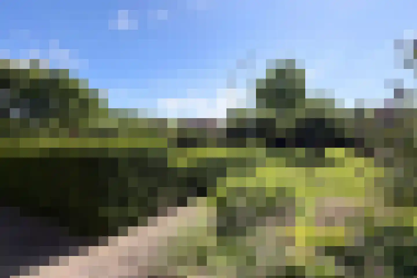 Waalseweg 52 e Tull en 't Waal thumbnail 4
