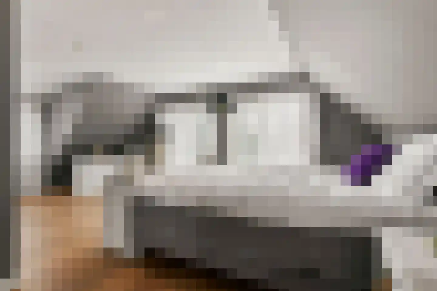 Waalseweg 52 e Tull en 't Waal thumbnail 41