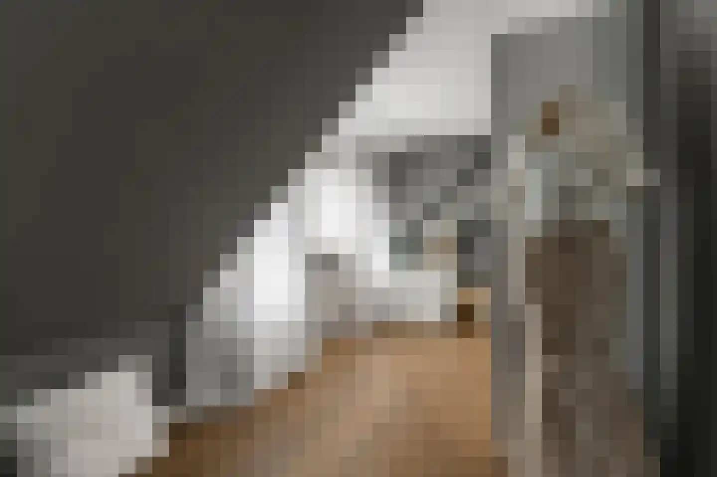 Waalseweg 52 e Tull en 't Waal thumbnail 42