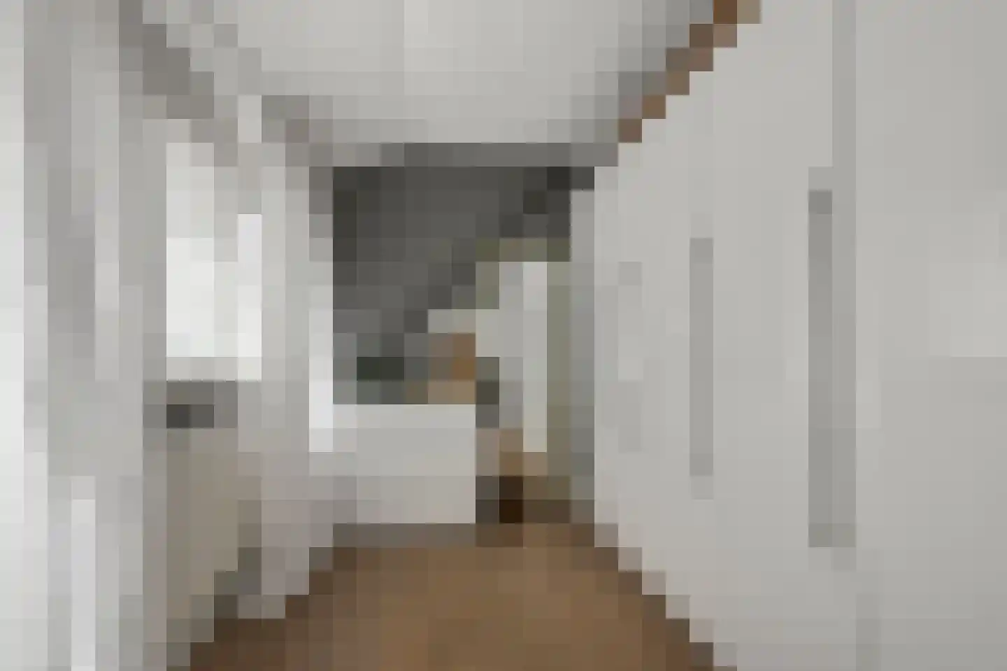 Waalseweg 52 e Tull en 't Waal thumbnail 43