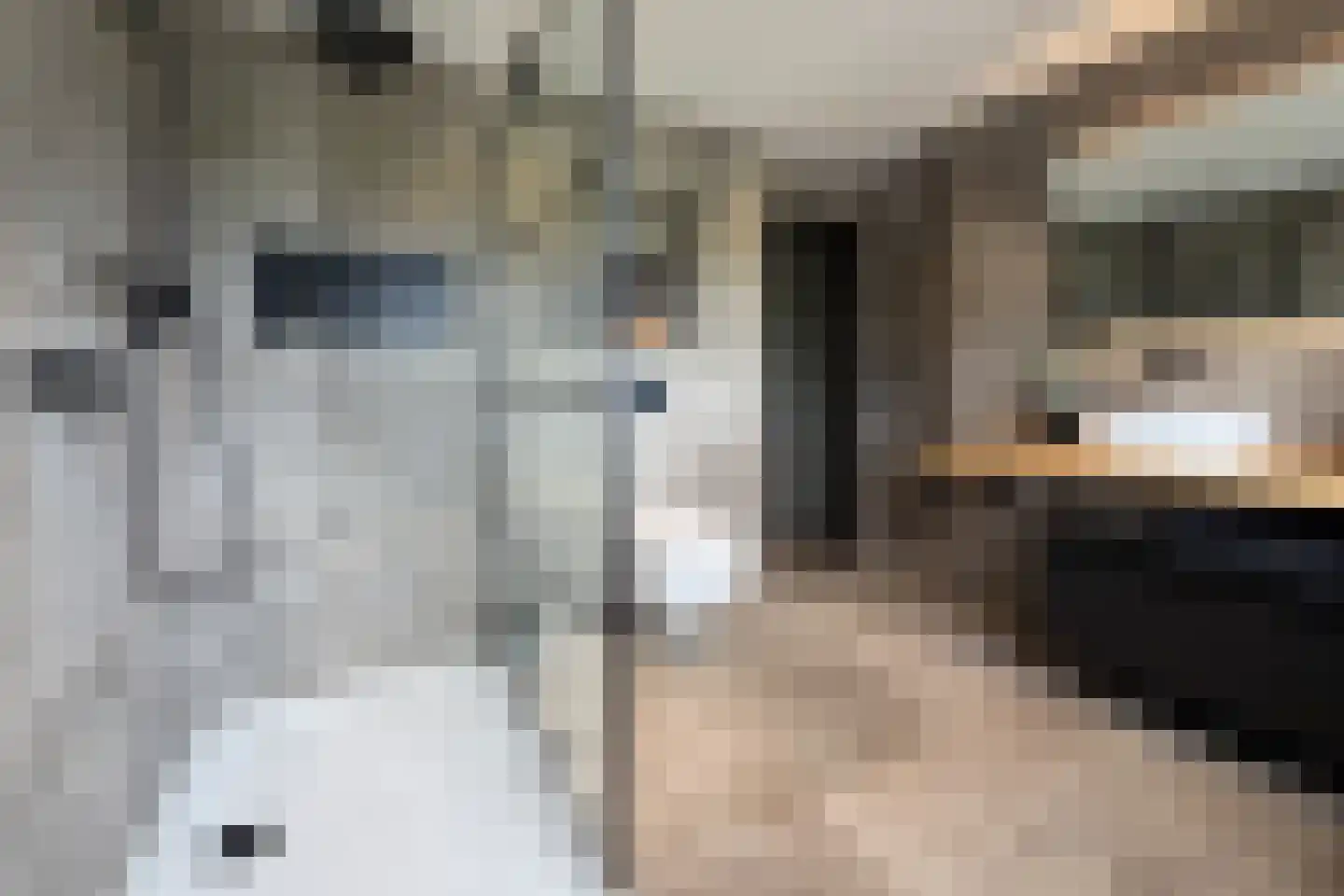 Waalseweg 52 e Tull en 't Waal thumbnail 45