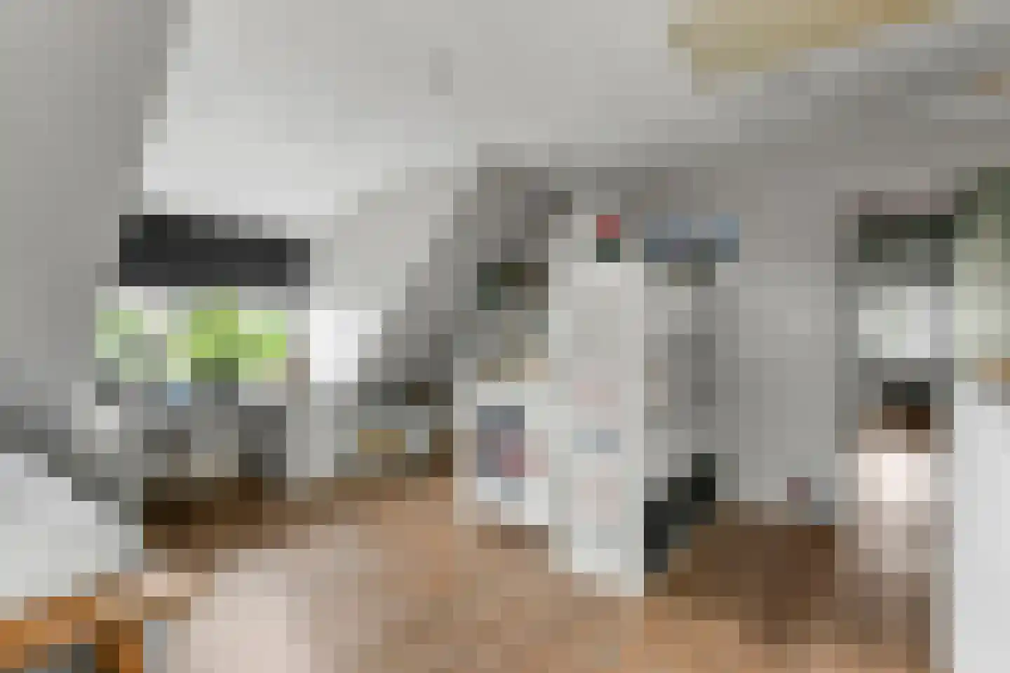Waalseweg 52 e Tull en 't Waal thumbnail 47