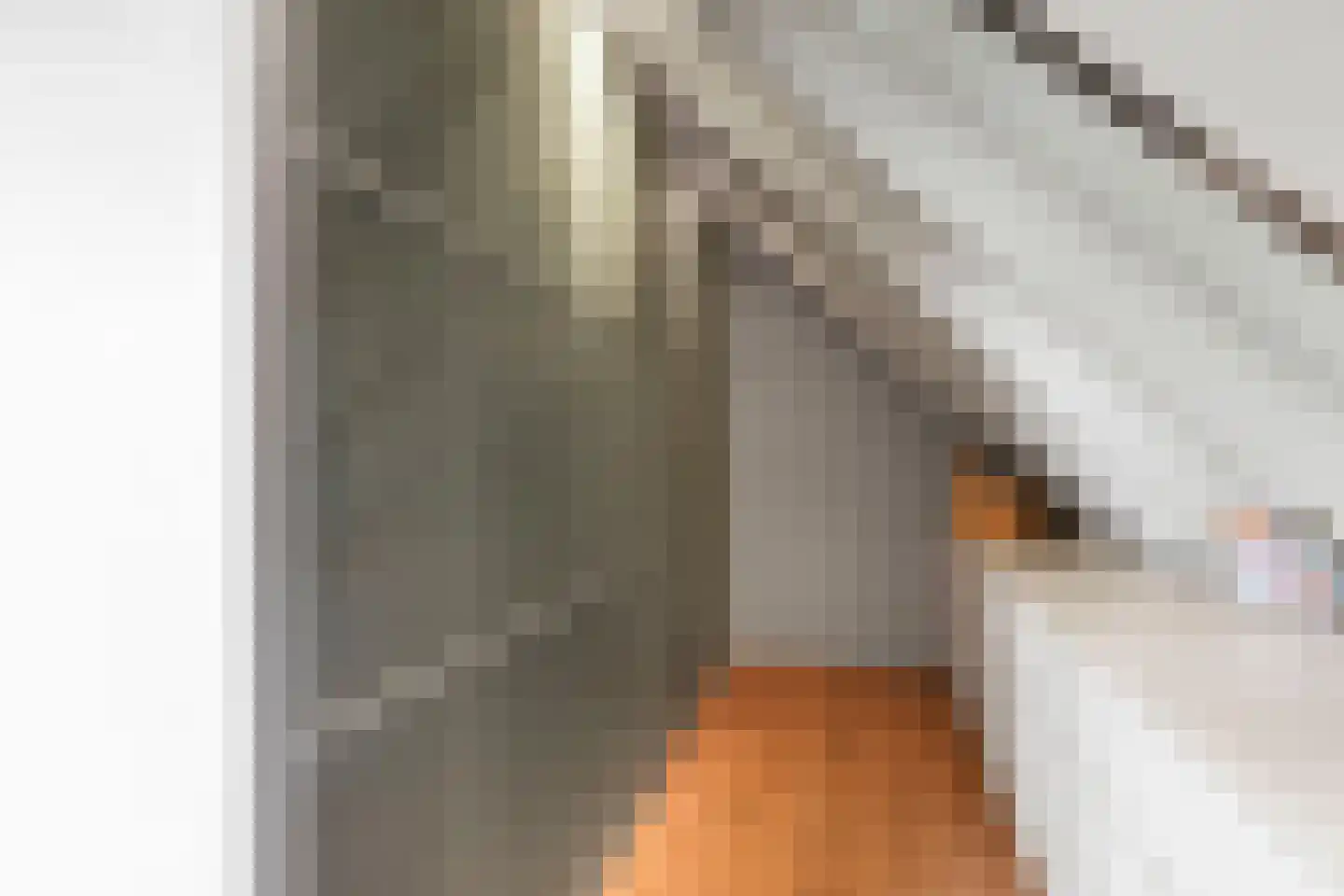 Waalseweg 52 e Tull en 't Waal thumbnail 49