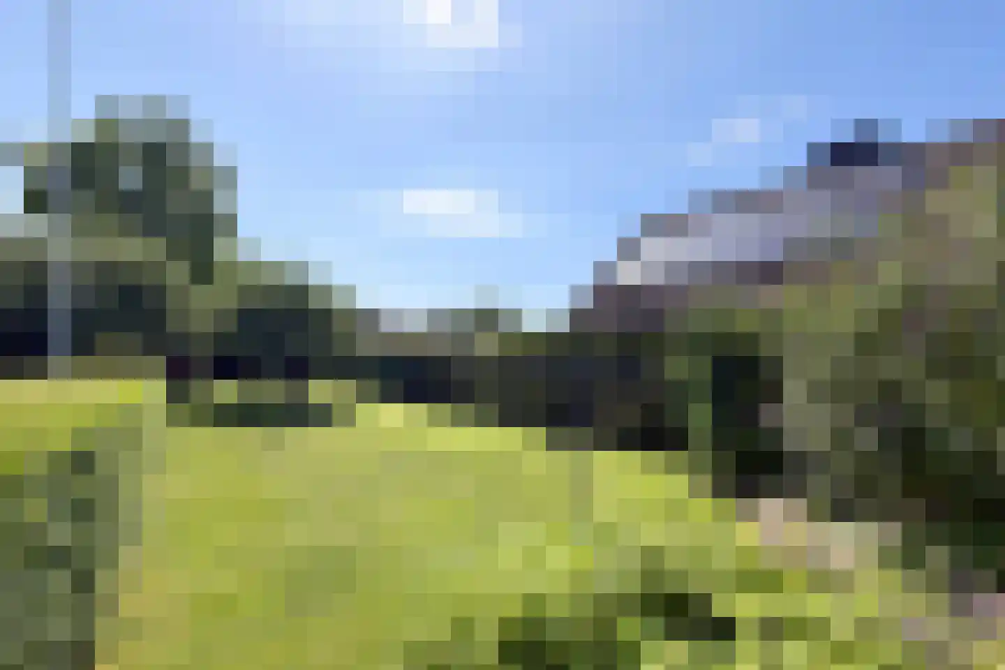 Waalseweg 52 e Tull en 't Waal thumbnail 5
