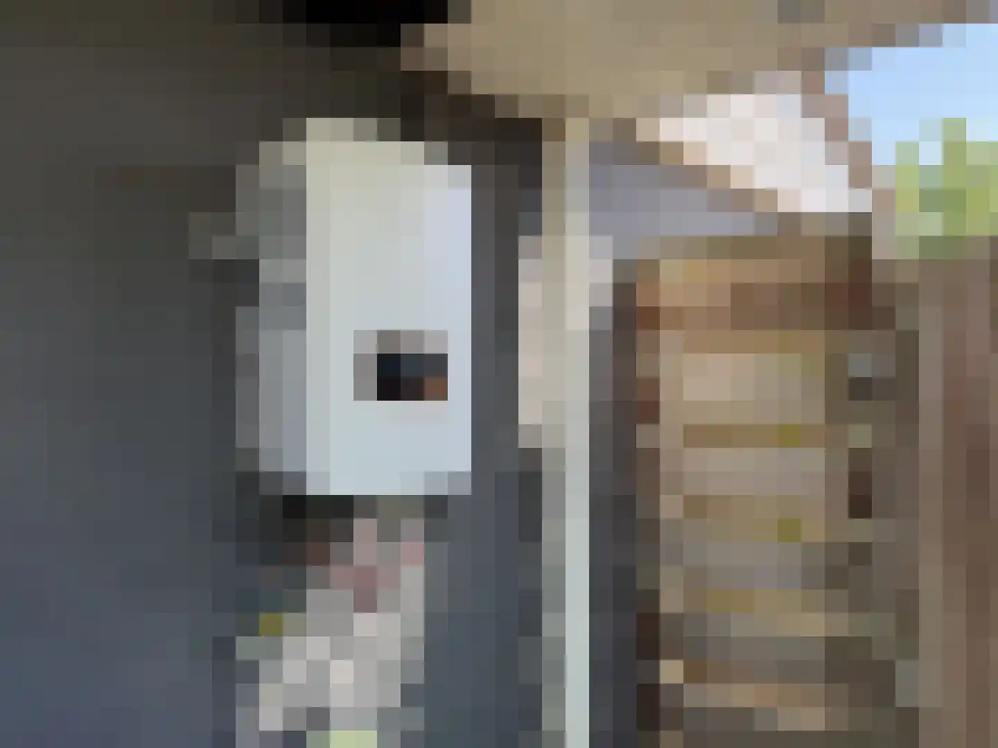 Waalseweg 52 e Tull en 't Waal thumbnail 51