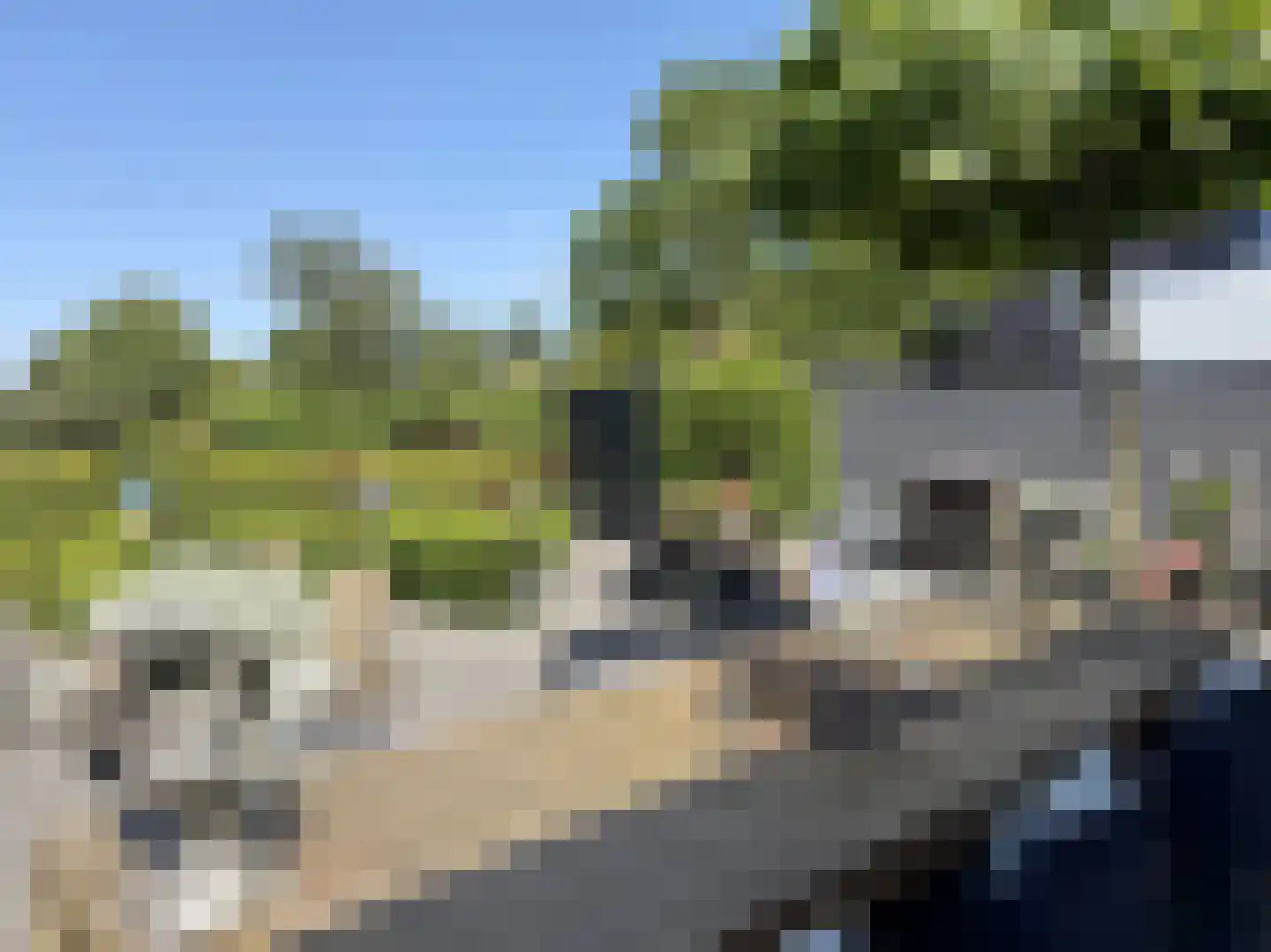 Waalseweg 52 e Tull en 't Waal thumbnail 52