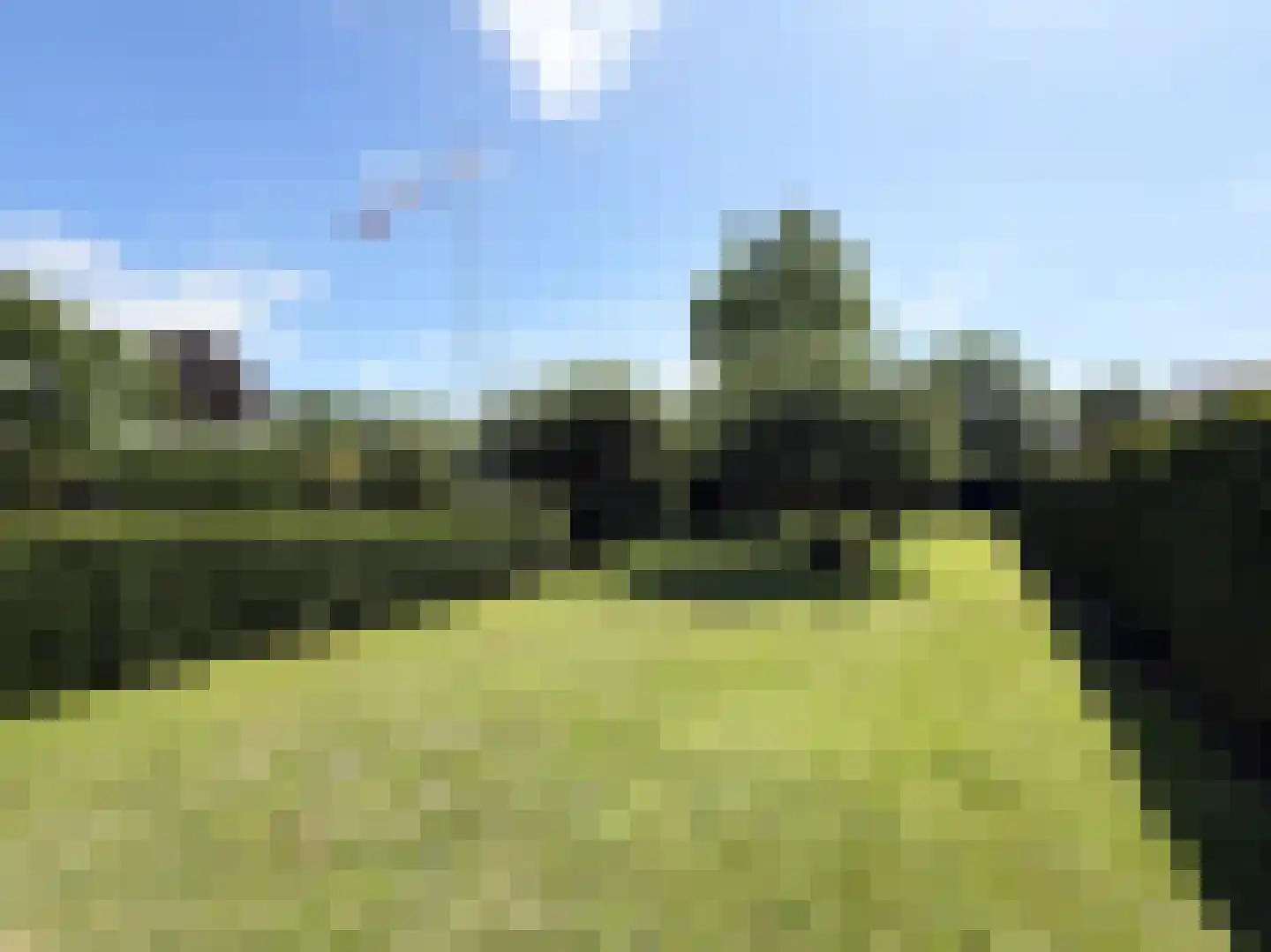 Waalseweg 52 e Tull en 't Waal thumbnail 6