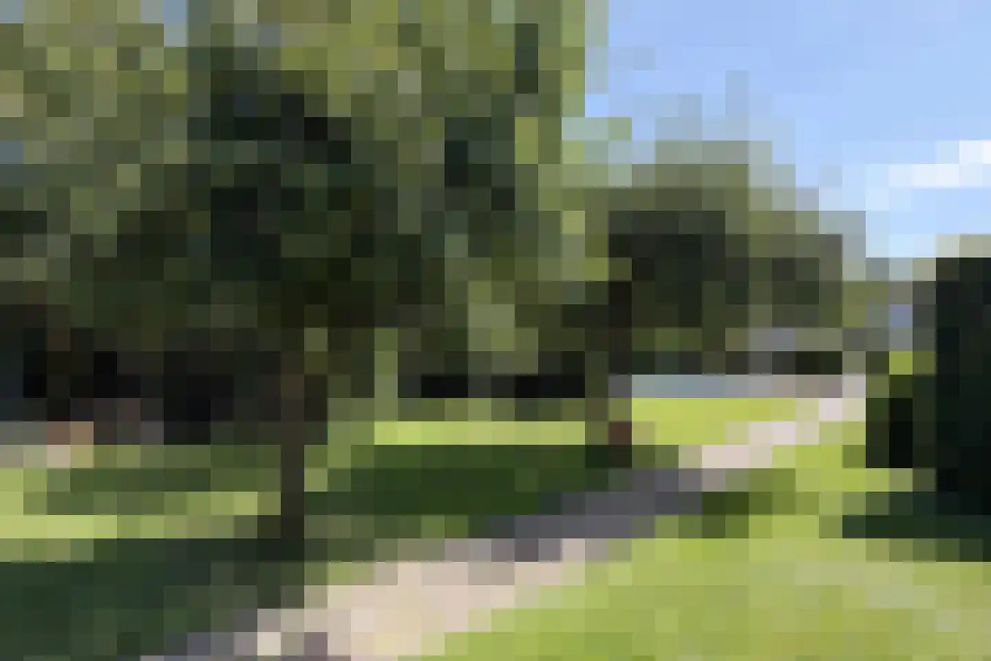 Waalseweg 52 e Tull en 't Waal thumbnail 66