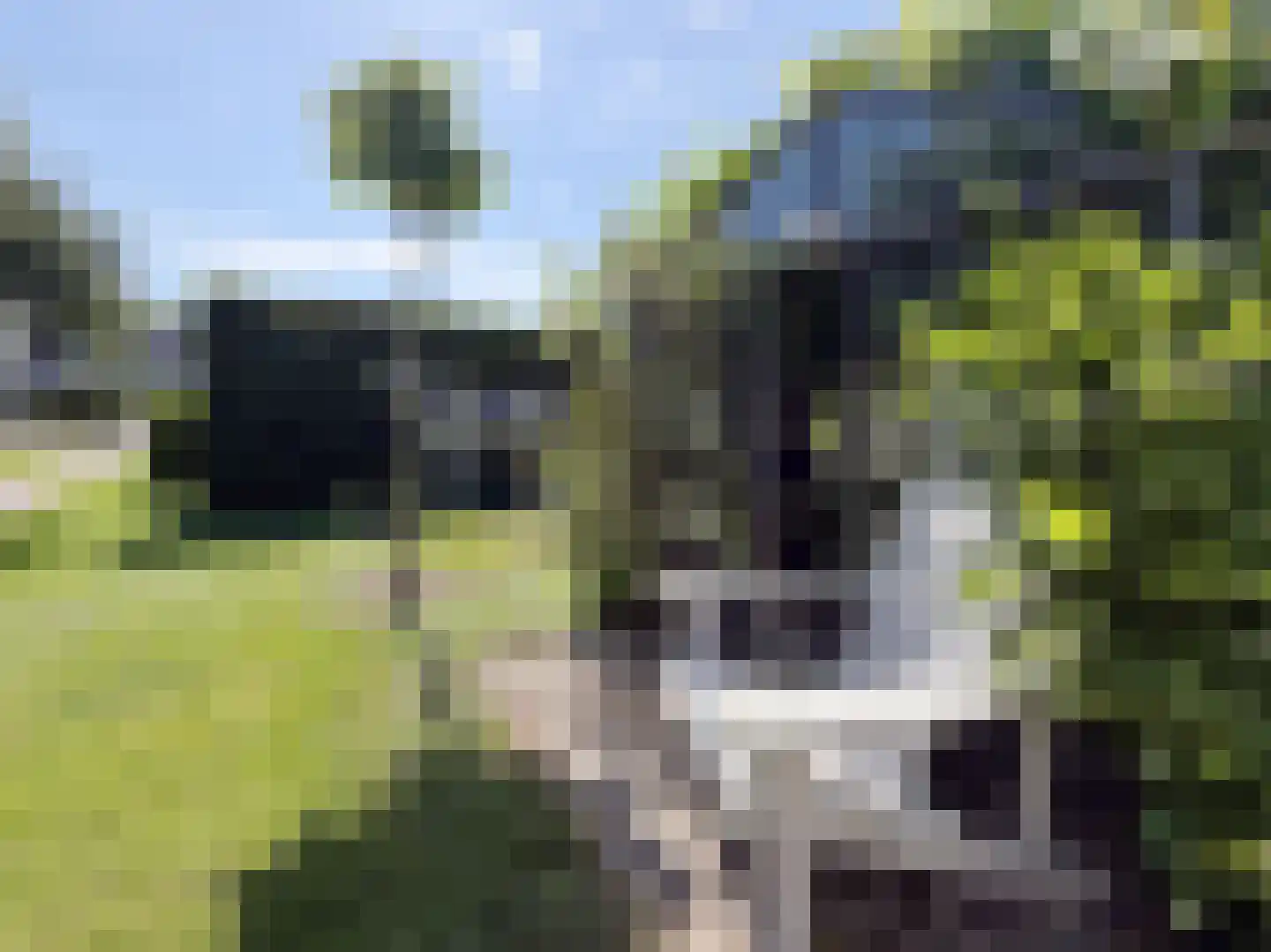Waalseweg 52 e Tull en 't Waal thumbnail 67