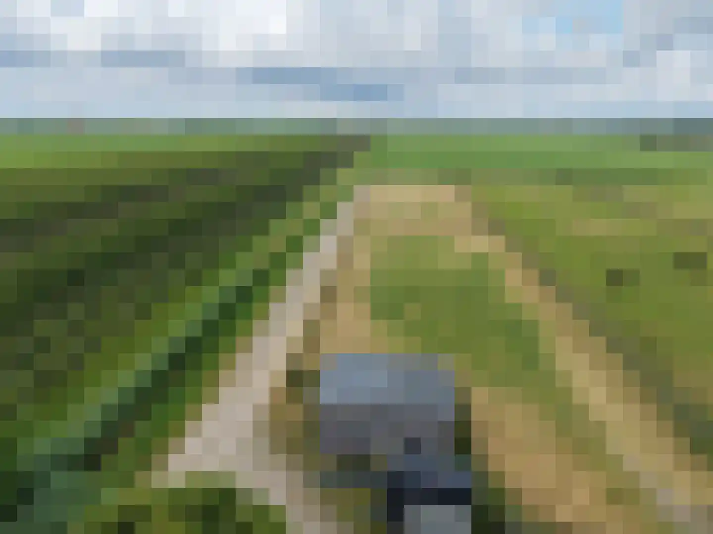 Waalseweg 52 e Tull en 't Waal thumbnail 80