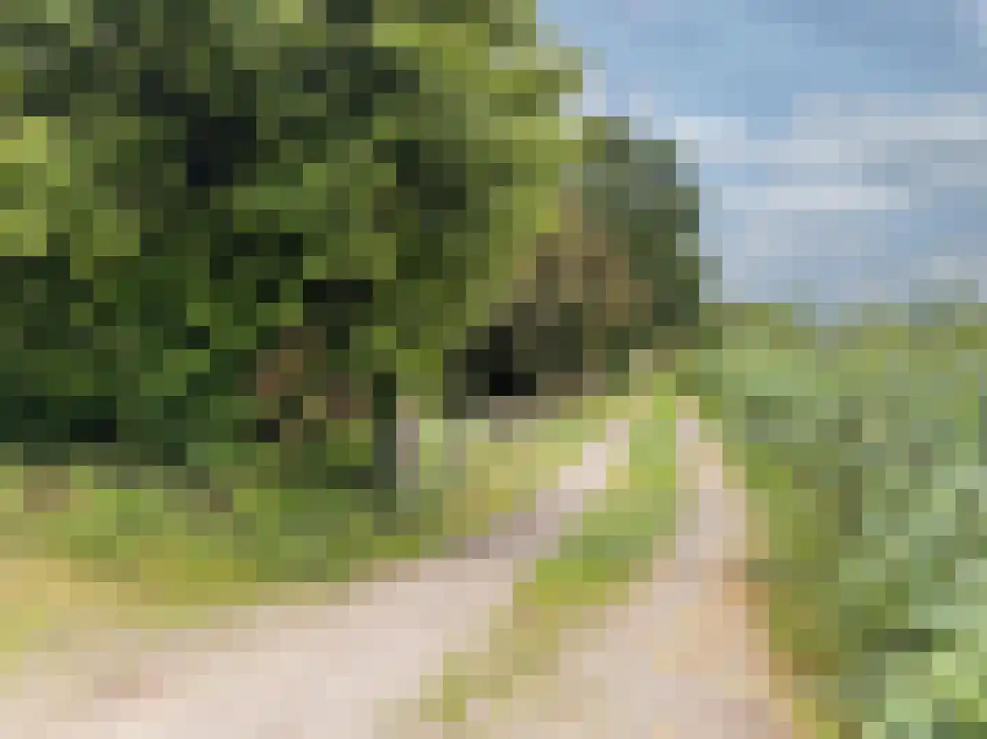Waalseweg 52 e Tull en 't Waal thumbnail 81