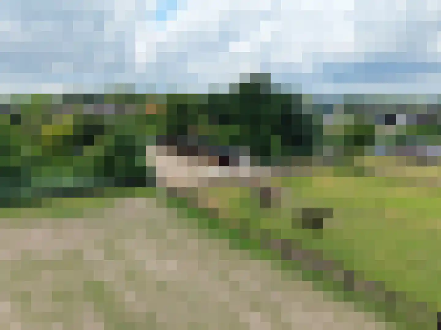 Waalseweg 52 e Tull en 't Waal thumbnail 86