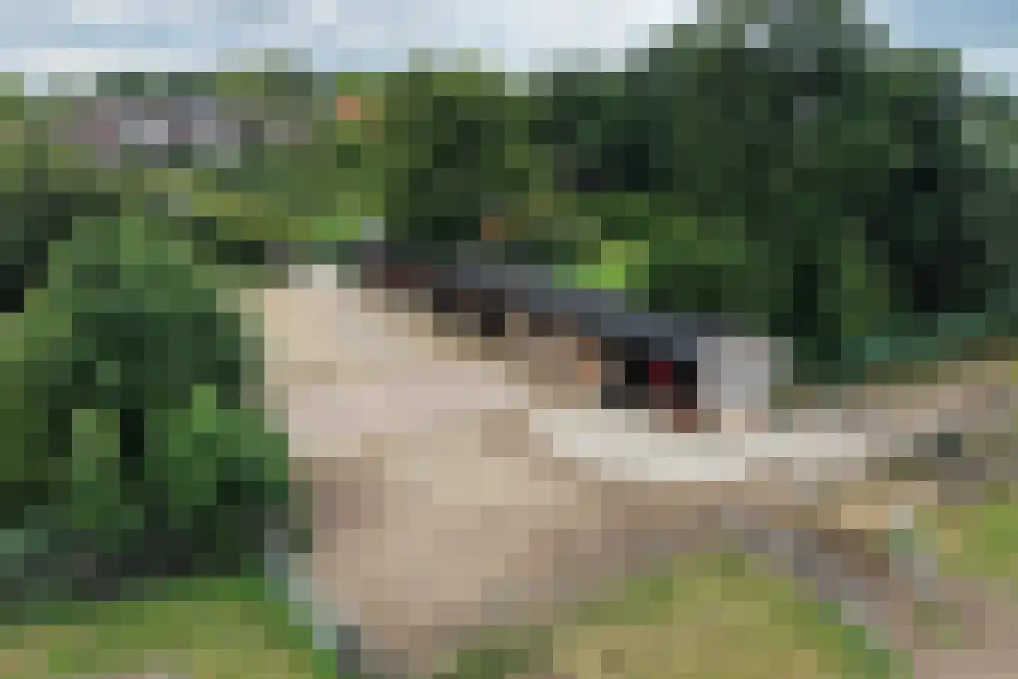 Waalseweg 52 e Tull en 't Waal thumbnail 87