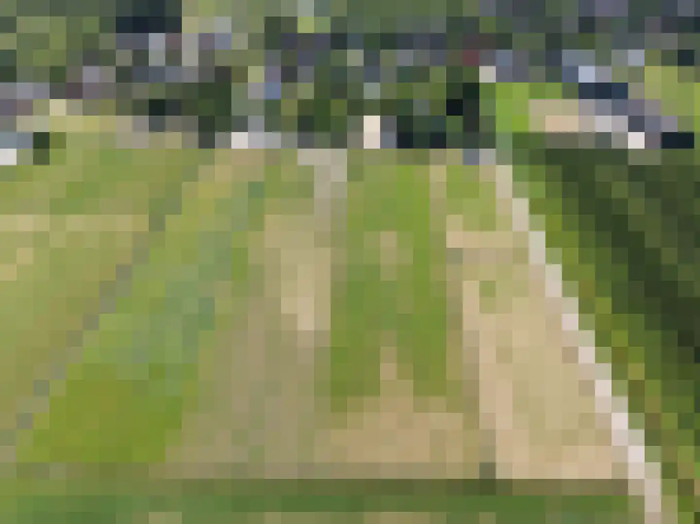 Waalseweg 52 e Tull en 't Waal thumbnail 88