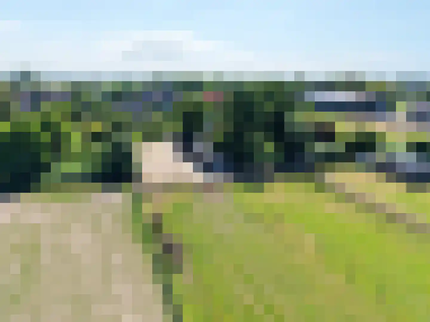 Waalseweg 52 e Tull en 't Waal thumbnail 89