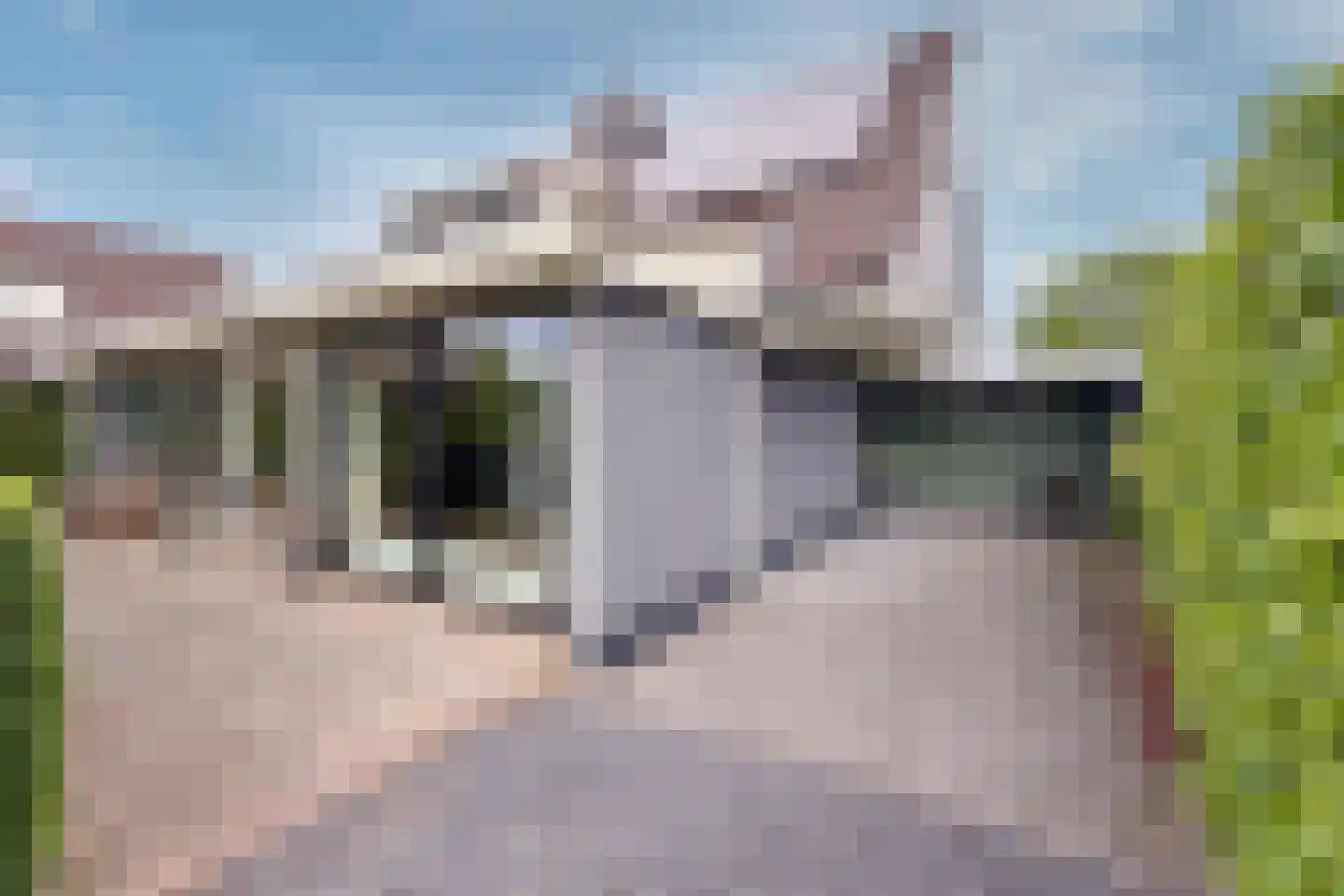 Waalseweg 52 e Tull en 't Waal thumbnail 9