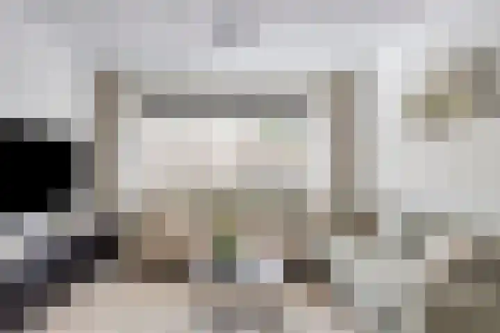 Waalseweg 60 Someren thumbnail 10