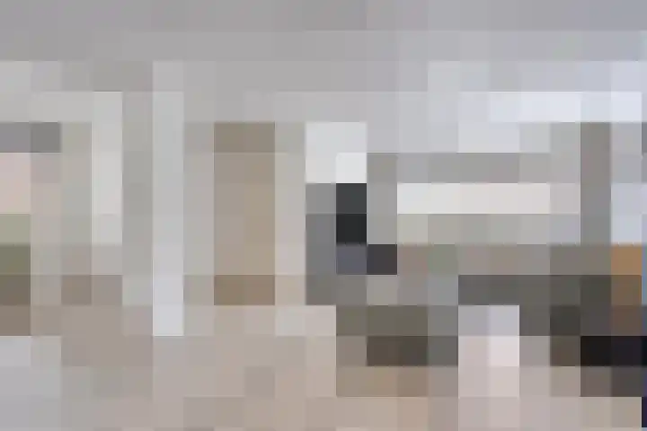 Waalseweg 60 Someren thumbnail 11