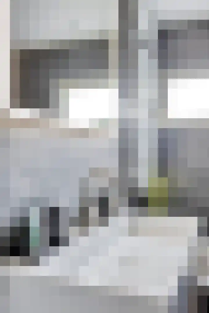 Waalseweg 60 Someren thumbnail 28