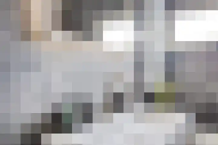 Waalseweg 60 Someren thumbnail 29