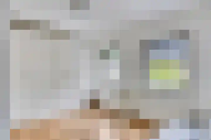 Waalseweg 60 Someren thumbnail 31