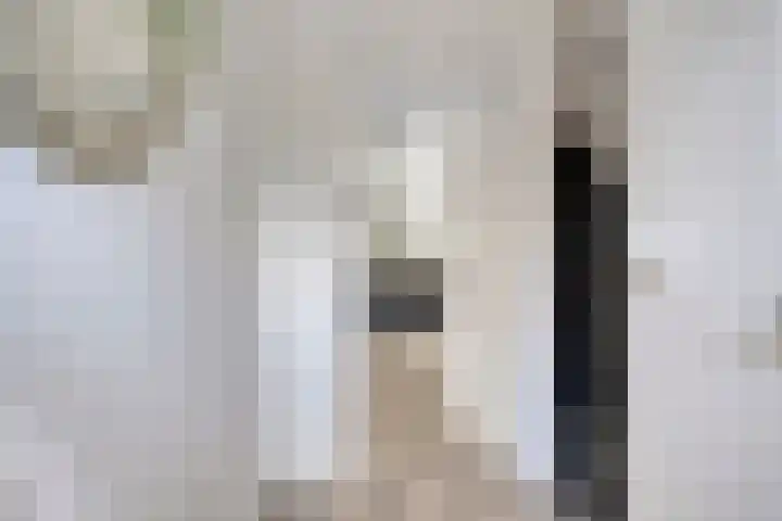 Waalseweg 60 Someren thumbnail 4