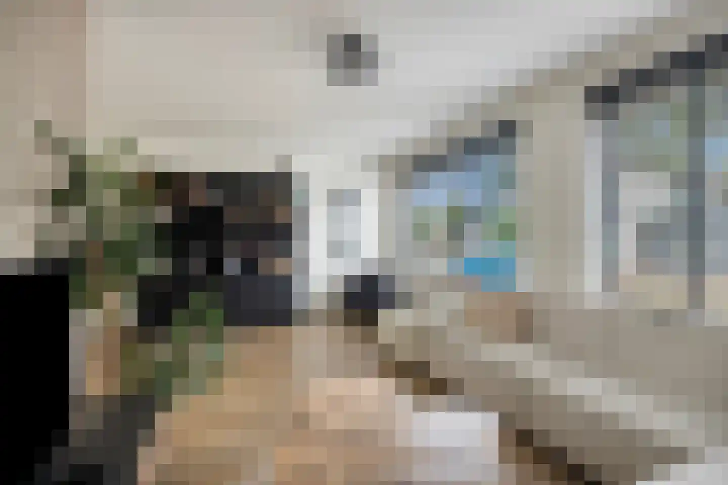 Waalseweg 8 Someren thumbnail 11